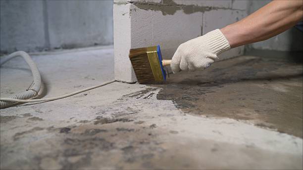 Top rated local Wet Basement Repair specialists in Sevierville, TN